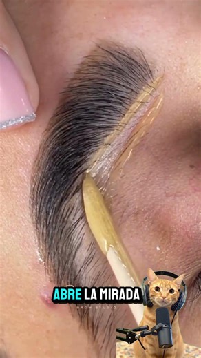 Eyebrow waxing by zones ✨Lower part to define the arch