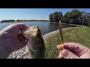 How To Put Fish On A Stringer
