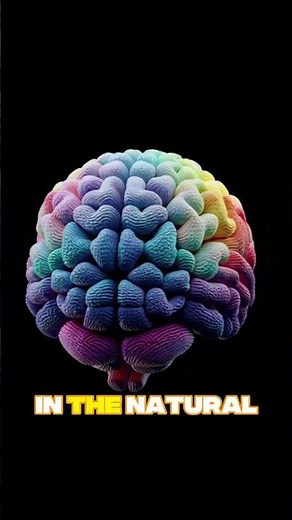 The Color Purple Doesn’t Exist — Your Brain Made It Up