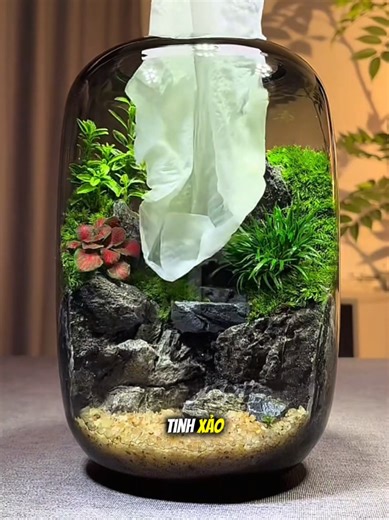 2026 Shopee Affiliates: Home Decor Products Guide