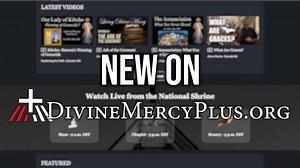 2.6K views · 337 reactions | Mercy Moments Bible Study: Exclusively on DivineMercyPlus.org! Introducing Mercy Moments Bible Study with Fr. Anthony Gramlich, MIC. Streaming every Tuesday, you can discover more about the greatest attribute of God — Mercy — as we read through key passages across the entire Bible. Follow along! To order your Divine Mercy Bible, visit: https://shopmercy.org/divine-mercy-catholic-bible.html?source=fb | Divine Mercy (official) | Facebook