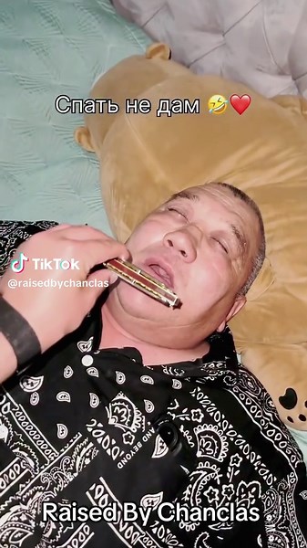 Snoring Harmonica Parody for Boston TikTok Fans