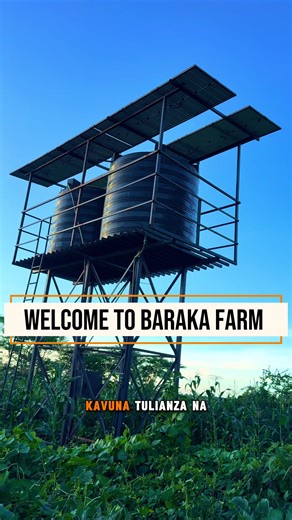 7 Months Farm Update: Progress and Insights