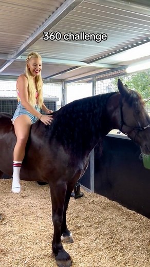 360 challenge equestrian edition 💪🏻 | Stepha Jade Castree