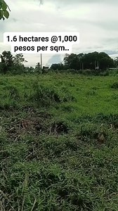 Available lot for sale in Dingle iloilo Area: 1.6 hectares Price: 1,000 pesos per sqm.. Along national highway, matapan, clean title..ready to transfer ang title. Sa intirisado please pm.. #sales #investmentproperty #realestate #realestateinvesting | Murang Bahay at Lupa sa Iloilo