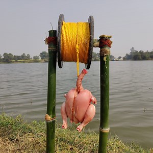 159K views · 7.1K reactions | Unbelievable Technique Fishing Trapping System. Smart Boy Build Easy Bamboo Hook Trap With Whole Chicken #trap_fishing #chicken_for_fishing | Only Fishing | Facebook