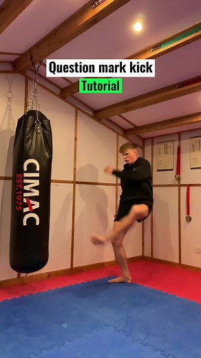 Question mark kick tutorial #martialarts
