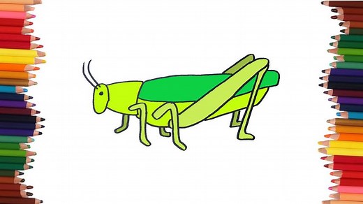 6.2K views · 101 reactions | como dibujar un grillo | Dibujos faciles | DibuBaron | Facebook