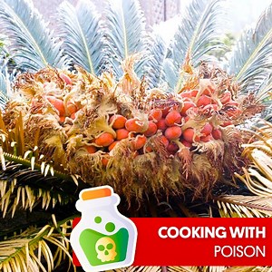 39K views · 399 reactions | In Japan, they learned to cook poison through trial and error, imagine you are the next person in line ☠️ | Great Big Story | Facebook