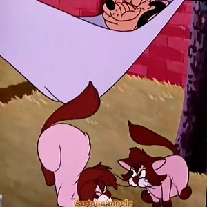 Cartoon movie | Cartoon movie