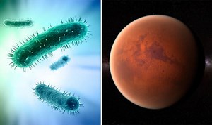 Mars: Molecules reveal 'alien life' existed on planet
