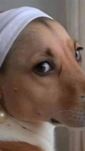 𝑪𝒐𝒍𝒍𝒆𝒈𝒆 𝒄𝒓𝒆𝒂𝒕𝒊𝒐𝒏𝒔 📖 on Instagram: "CR ❌ apna Bhai ✅🫂 . . . . . . . . . . . . . . #college #collegefun #btechlife #campuslife #campusdiaries #collegedropout"