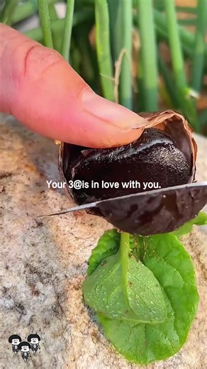 Kitchen Techniques for Cutting Watermelon Effortlessly