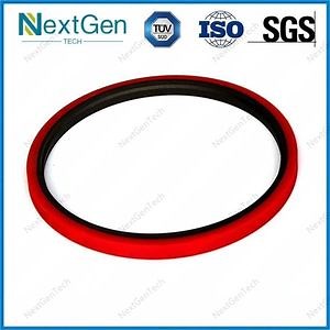 [Hot Item] Combine PTFE Hydraulic Cylinder Rod Step Seal