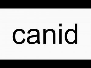 How to pronounce canid