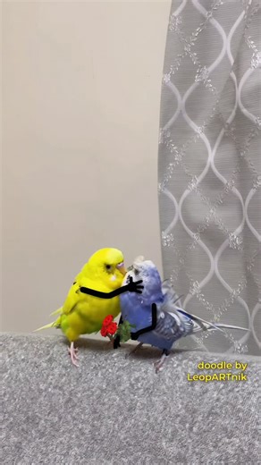 139K views · 17K reactions | 殺浪 POWER OF LOVE 殺浪 #throwback...