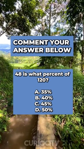 48 is what percent of 120? | CurioCity