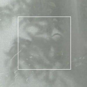 1.1K views · 341 reactions | [UPDATE] 201107 EXO_NEWS_JP update Đêm qua Twitter của EXO Japan đột nhiên đăng một chiếc video siêu ngắn mà không nói thêm gì. Nhiều fan đoán rằng 10/11 sẽ có thêm thính, không biết có nên mong chờ vào một chiếc single mùa đông sương sương không nhỉ . Hóng các thám tử vào suy luận 類. Credit: EXO_NEWS_JP -P.Y- | FC EXO VN - Since 2012 | Facebook