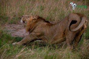 Rwenzori Mountains National Park - Kubwa Five Safaris