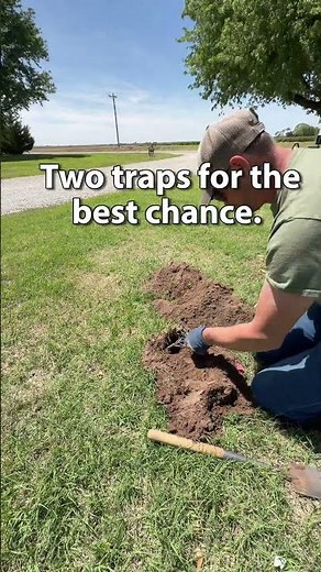 Fresh Mound = Trap Spot? Not This Time. #pestcontrol #trapping #gopher