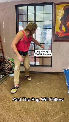 In this video you’ll see me utilizing the Step Back Lure Method for introducing the HEEL position to puppy Winnie. Notice that my left hand and foot move simultaneously as I both step back and forward. Taking that step back opens up the area for my dog and my hand acts as the lure to guide her. For the Heel position I have my dog sit by my side, notice that our toes are both facing the same direction. Lastly, pay attention to my hand signal that captures the command once she has completed it. Ca