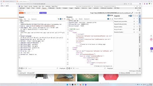 调试页面上的信息披露