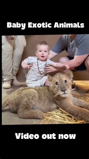 Baby Exotic Animals #shorts #funnyanimals #cuteanimals #viral