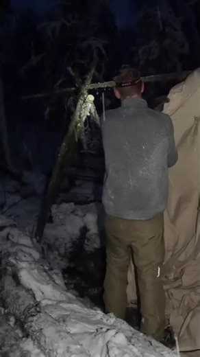 Frozen Forest Fire Starter Test: Wet Wood Burns? #shorts