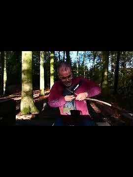 Balancing challenge in the forest – can you complete the nature course? #outdoors #outdoorlife