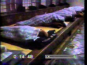 Zen 1 Principles and Practices