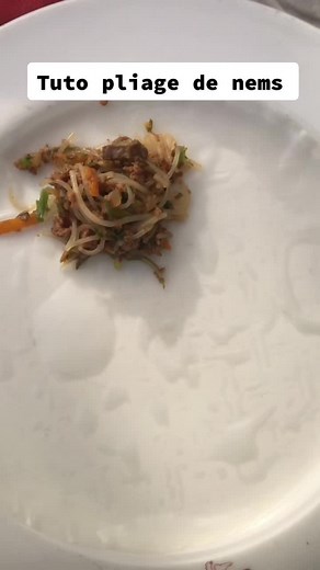 Tuto de pliage de nems #tuto #pliage #de #nems #pourtoi #fry #foryourpage