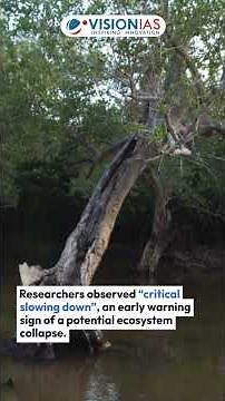 Sundarbans in Crisis: 15% Mangroves Losing Ability to Recover