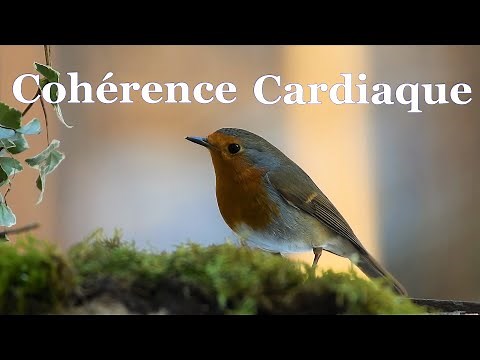 💖 Coherence cardiaque exercices 35 Bis