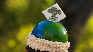 Disney's Earth Day treats delight at 'Party for the Planet'