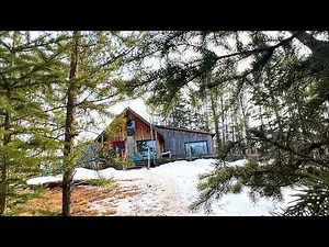 We Left the City to Go OFF GRID | What We Gave Up to Live in the Woods in Northern Canada