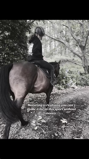 Understanding the Cost of Equestrian Sports