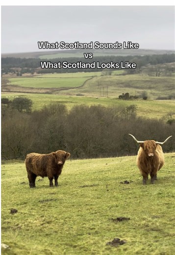 Exploring Scotland: Sounds and Scenic Views