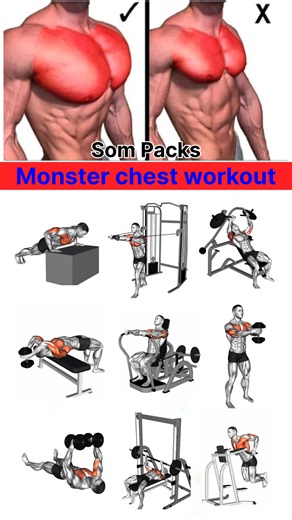 Monster chest exercise at gym 💪 #chestworkout #workout | Som Packs