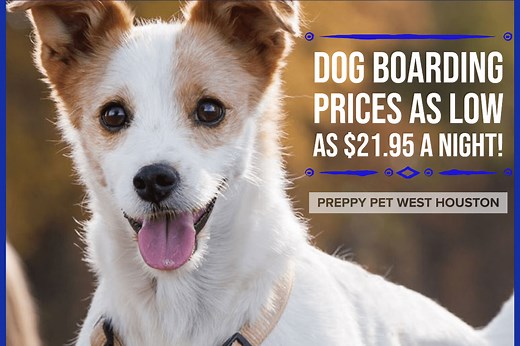 Affordable Dog Boarding Services Serving Houston & Katy, TX