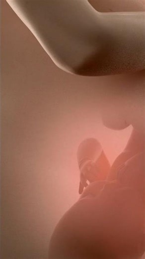 “Human Sperm Facts😱🦧 | इंसान की शुरुआत की असली कहानी | Amazing Biology Shorts”