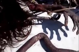 1K views · 20 reactions | Dead Mermaid Found On The Beach After Hurricane | Ancient Wonders of Archaeology, Art History & Architecture | Facebook