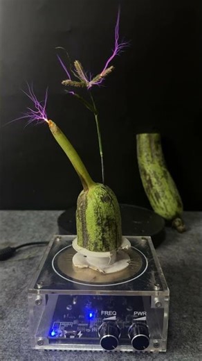 Tesla coil + sponged gourd + grass