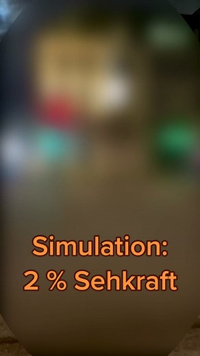 Fast Blind U-Bahn Fahren Simulation