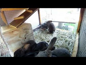 🌠🔍 Cosmic Revelations: Clif High's Top 10 Predictions 🪙