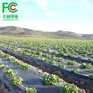 [Hot Item] Customized Agricultural Black and Silver Plastic Mulching Film