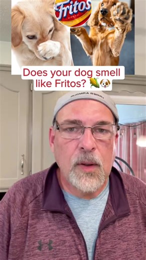 Is your dog constantly scratching, licking, or smelling "off"? Yeast overgrowth might be the hidden cause — and harsh meds or messy ointments aren’t your only option. Carmelie Yeast Relief Drops offer a natural way to calm itching, reduce odor, and support your pup’s skin from the inside out. This vet-reviewed, plant-based formula features ingredients like pau d’arco, goldenseal, marshmallow root, and apple cider vinegar — selected for their antifungal, anti-inflammatory, and immune-supporting p