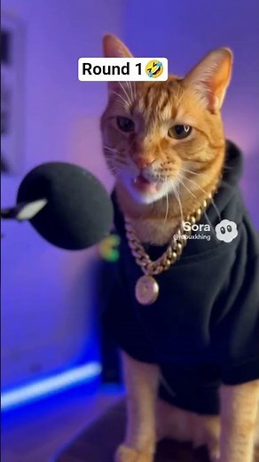Foltyn vs Kitty battle rap ROUND 1 🤣
