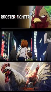 61K views · 714 reactions | "Rooster Fighter" ANIME NEW TRAILER REVEAL! Air Date: Spring 2026 Animation Studio: Sanzigen A loner rooster travelling through Japan to defeat various mutant monsters to find the killer of his sisters. | OtaCon Ever Stories | Facebook