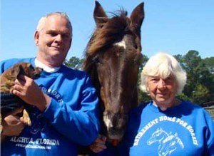 Retirement Home for Horses - Mill Creek Farm, Alachua | About