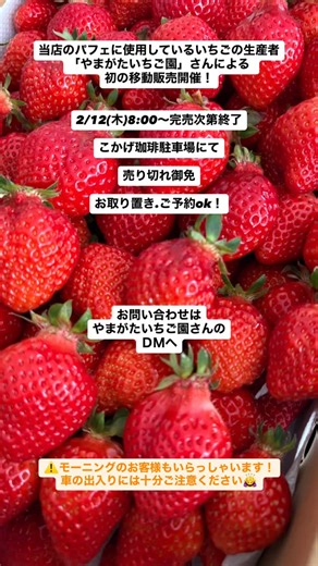 こかげ珈琲 水巻町coffee&lunch | 「やまがたいちご園」さんが 丹精込めてつくられた 美味しい「あまおう」の販売会です！ 初の試みでワクワクしています♪ 当店でパフェを召し上がったお客様から、 どこのいちごなのかをよくお問い合わせいただきます🍓 こんなに美味しいなら もっと多くの方に知っていただきたい！... | Instagram